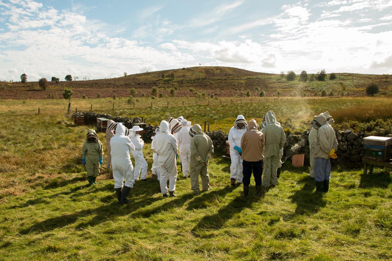 Apiary meeting at the heather moor