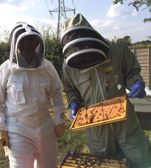 Bee Inspectors - Cheshire Beekeepers' Association