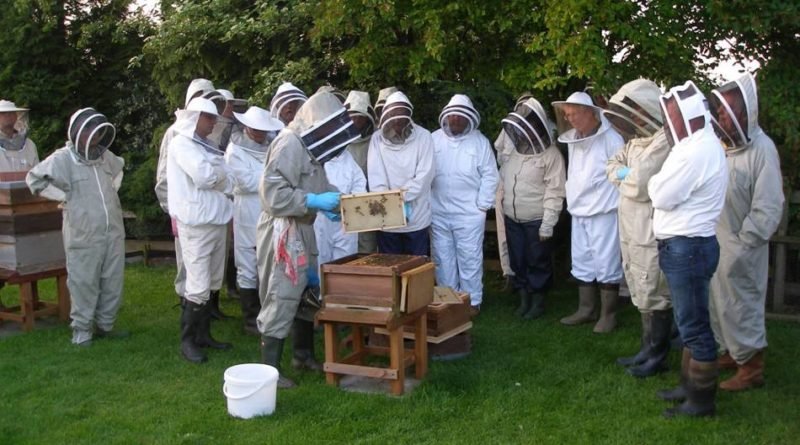 Beekeeping meeting