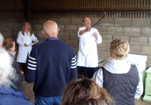 Beekeeping Auctioneer