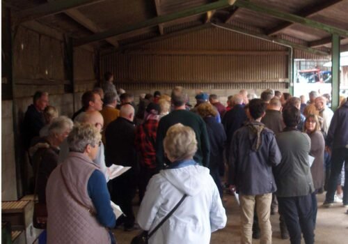 Buyers at the Beekeeping Auction